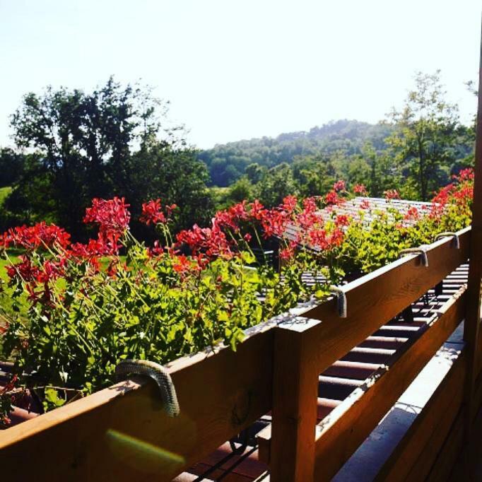 Bed and Breakfast Ca' Del Cuco Barzana Экстерьер фото
